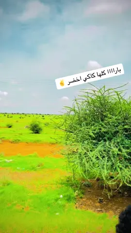 #القوات_المسلحة_السودانية🦅🇸🇩🦅 #مشاهدات100k🔥اكسبلورexplore #كردفان_بلدي 