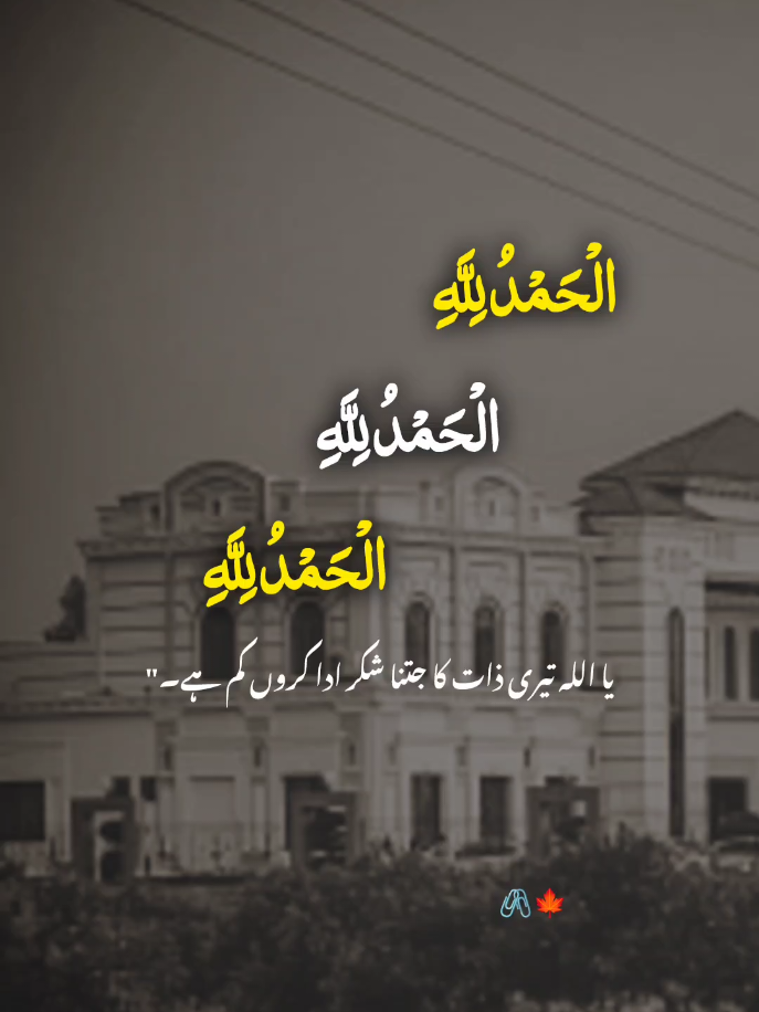 الْحَمْدُ لِلَّهِ الْحَمْدُ لِلَّهِ الْحَمْدُ لِلَّهِ یا اللہ تیری ذات کا جتنا شکر ادا کروں کم ہے۔
