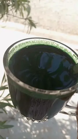 سبرلينا مفيدة القولون مفيدة المفاصل مفيدة البشره والشعر تمنحك اشرقا صحيه #الشعب_الصيني_ماله_حل😂✌️ 