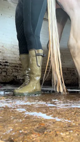 Bath time gone wrong🥴  #equestrianlife #horsegirl #equestrian #bathtimeroutine #horsesoftiktok 