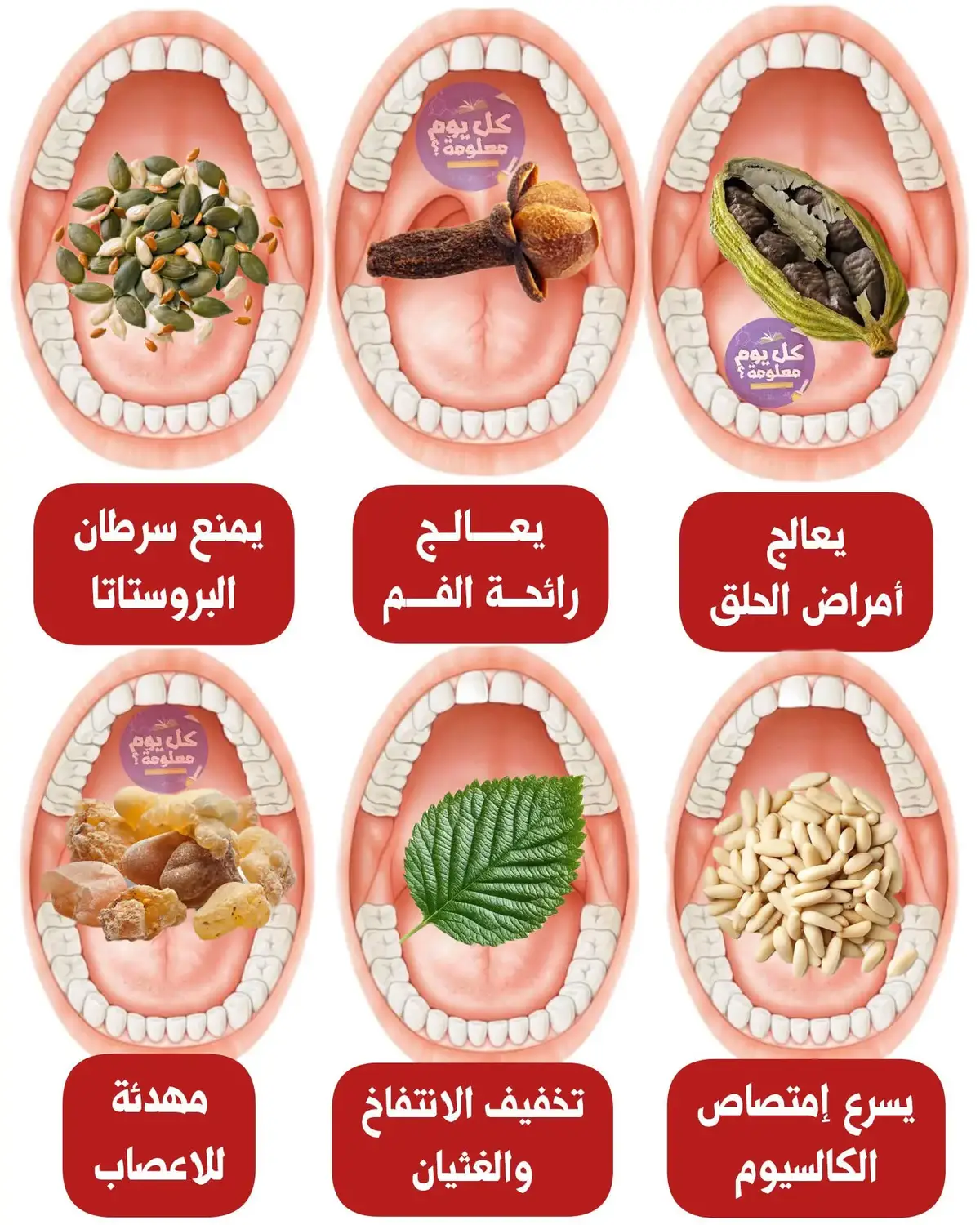 #مشاهدات #fyppppppppppppppppppppppp #الشعب_الصيني_ماله_حل #fyp #اكسبلور  ✅️ الهيل (الحبهان) : يعالج أمراض الحلق  ✅️ القرنفل : يعالج رائحة الفم  ✅️ بذور اليقطين : يمنع سرطان البروستاتا ✅️ الصنوبر : يسرع إمتصاص الكالسيوم ✅️ النعناع : تخفيف الانتفاخ والغثيان ✅️ لبان الذكر : مهدئ للأعصاب  ✅️ ان استفدت اكتب 3 مرات أسماء الله الحسنى