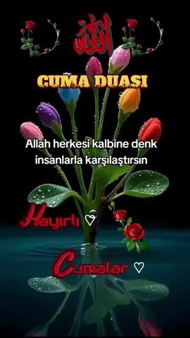 #keşfet #keşfet #engelimikaldirtiktok 