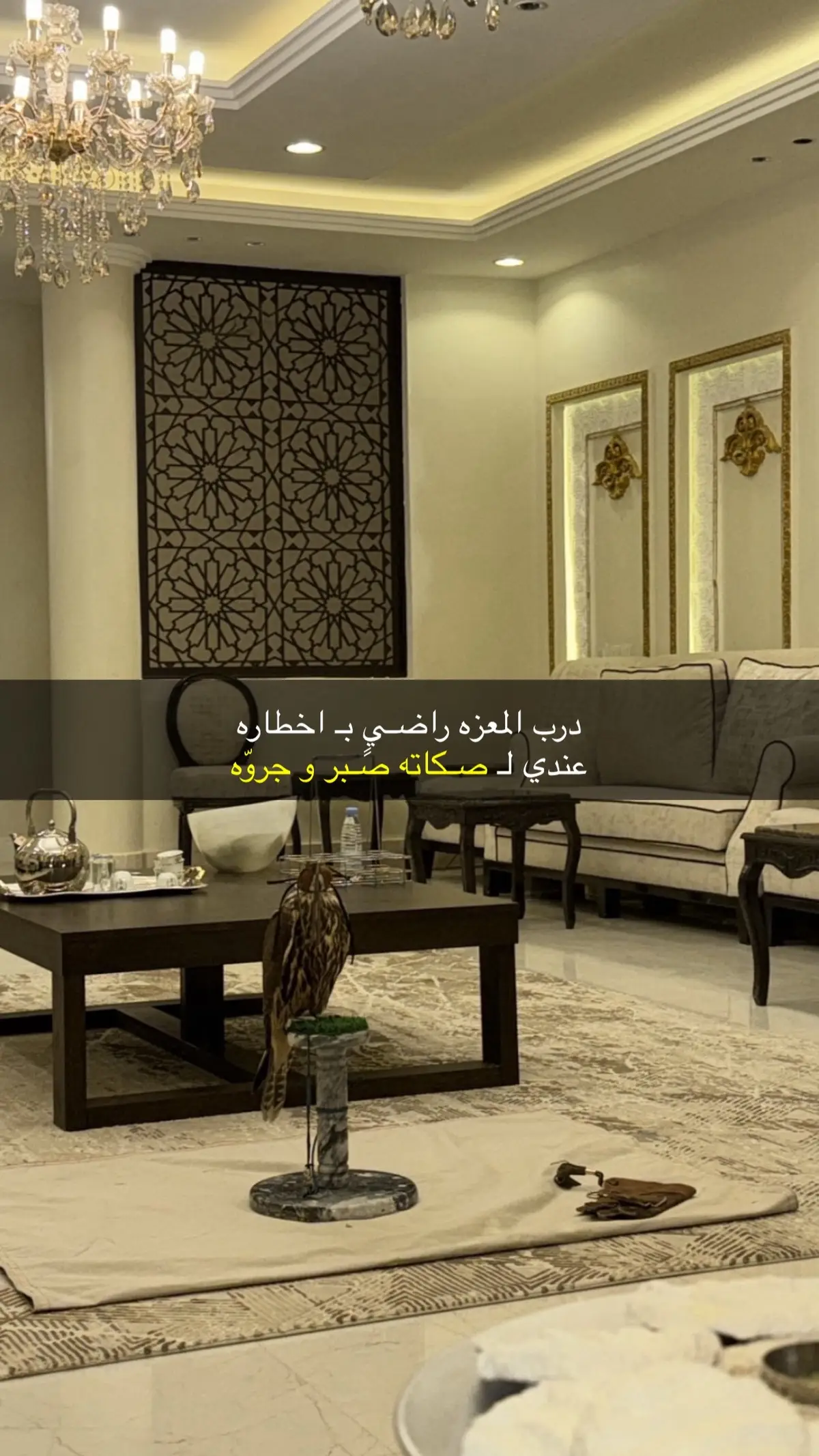 #قصائد_شعر_خواطر_غزل_مجرد_ذوق 