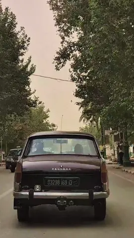 Tlemcen 13 ❤️ centre ville 🥰 404,🥰.                                                                               #tik_tok #explore #tlemceni__13 #algerie🇩🇿 