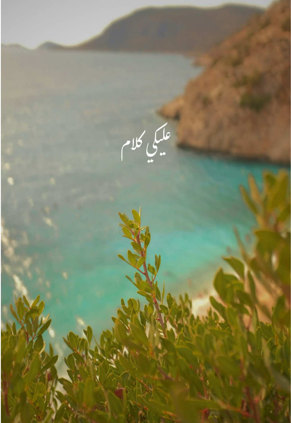 #احمد_سعد #عليكي_عيون #fyp #foryoupage #استوريهات 