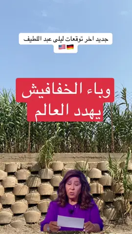 #عبد_اللطيف_ليلى #توقعات #germany #usa #فرنسا🇨🇵_بلجيكا🇧🇪_المانيا🇩🇪_اسبانيا🇪🇸 
