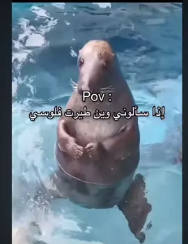 #الشعب_الصيني_ماله_حل😂😂 #ضحك_طقطقه_فله_وناسه #ميمز 