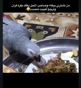 #الشعب_الصيني_ماله_حل😂😂 #ضحك_طقطقه_فله_وناسه #ميمز 