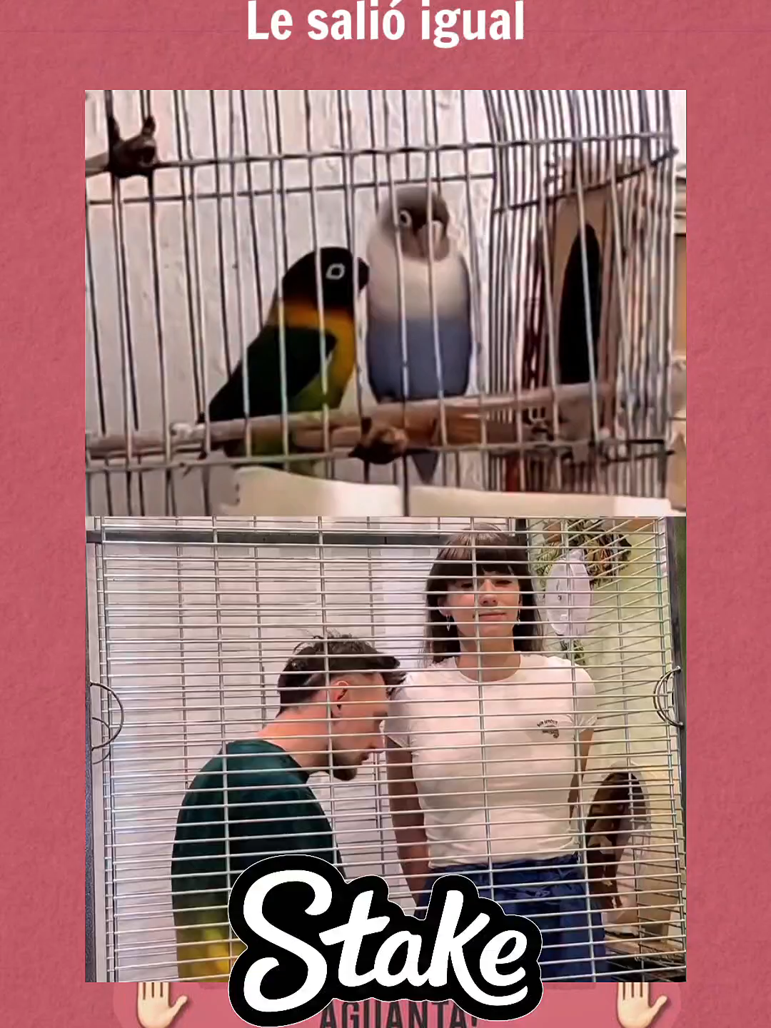 Le salió igual