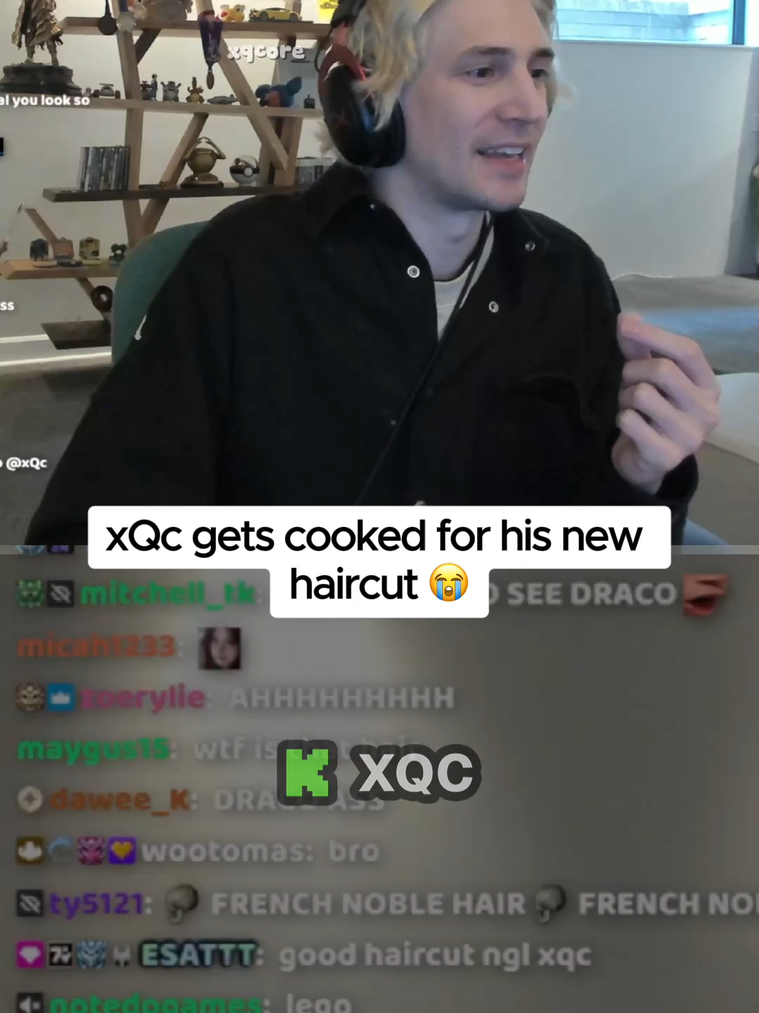xQc gets cooked for his new haircut 😭 #xqc #haircut