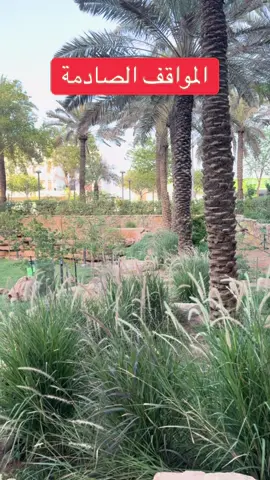 #EmClimaUltraLeve  المواقف الصادمة  #علمتني #الحياة #علمتني_الحياة📚 #دروس_الحياة 