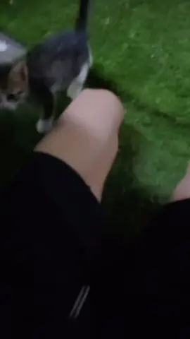 الزبده قطو جدي يحبني اكثر منكم