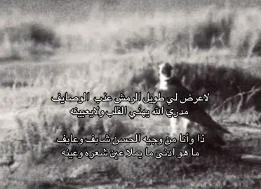 #you #شيلات #قصايد 