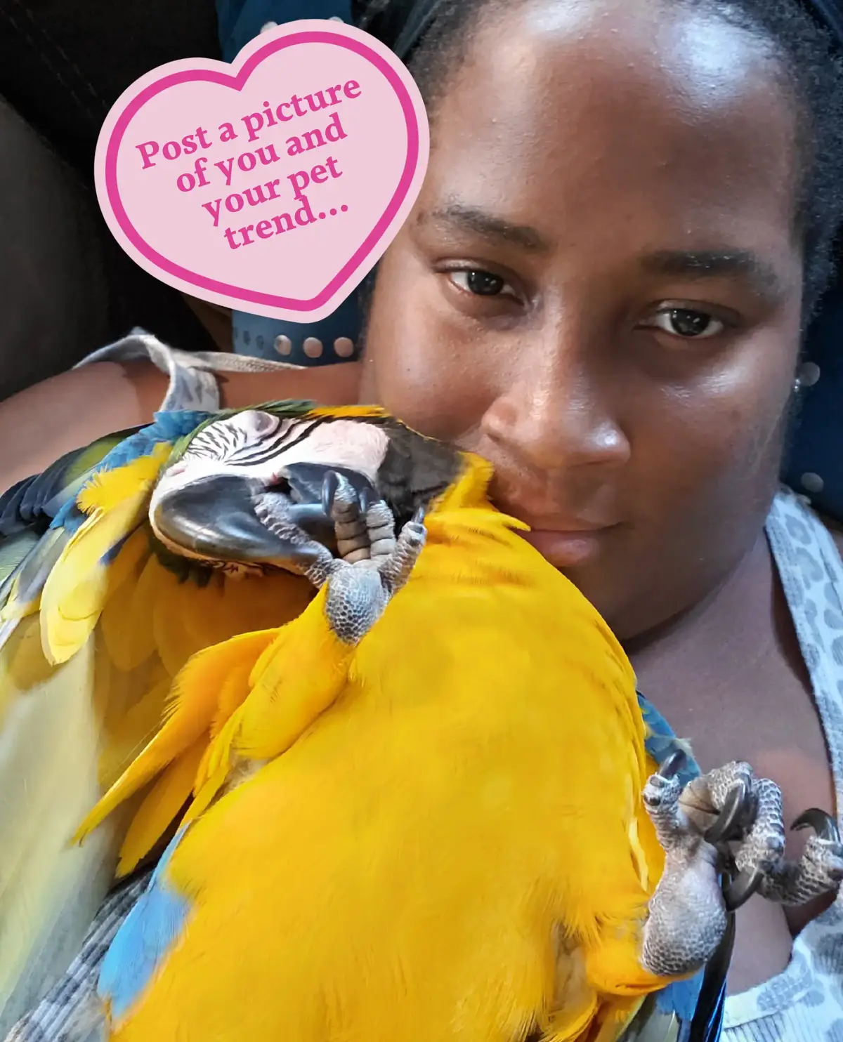 I truly love him! This is Icah my macaw!
