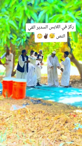 #طرب #مناصير_عز_وفخر🇯🇴🦅 #وتر 