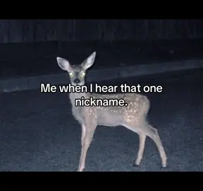 “Nomi-“ cut it out. #fyp #nickname #deer #nostalgia #viral