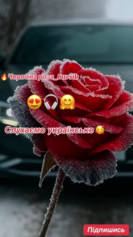 🔥ФЛЕШКИ В НАЯВНОСТІ😎Підписуємось на телеграм з музикою🎵 посилання на канал в шапці профіля😎 #незабаром #українськамузика #новинка #репост #музикадляавто 