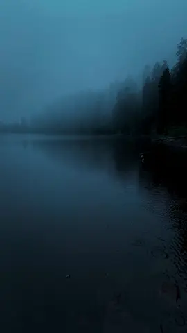 Rainy Mornings #nature #calm #darkaesthetic #naturephotography #foryоu 