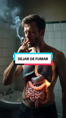 🚭 Esto le pasa a tu cuerpo cuando dejas de fumar: ⏱️ 20 min → Presión arterial y ritmo cardíaco vuelven a lo normal. ⏱️ 8 h → Menos monóxido de carbono, más oxígeno en tu sangre. ⏱️ 48 h → Toda la nicotina fuera. Regresan gusto y olfato. ⏱️ 72 h → Bronquios relajados, respiras mejor. 📈 2-12 sem → Circulación y energía arriba. 🌬️ 3-9 meses → Menos tos, pulmones recuperándose. ❤️ 1 año → Riesgo de infarto reducido a la mitad. 💪 15 años → Riesgo de cáncer de pulmón casi igual al de alguien que nunca fumó. 👉 El viaje es difícil, pero la recompensa es tu vida. Déjame en los comentarios desde dónde nos ves 🌍 y síguenos para más consejos de salud. #salud #vidasaludable #consejos 