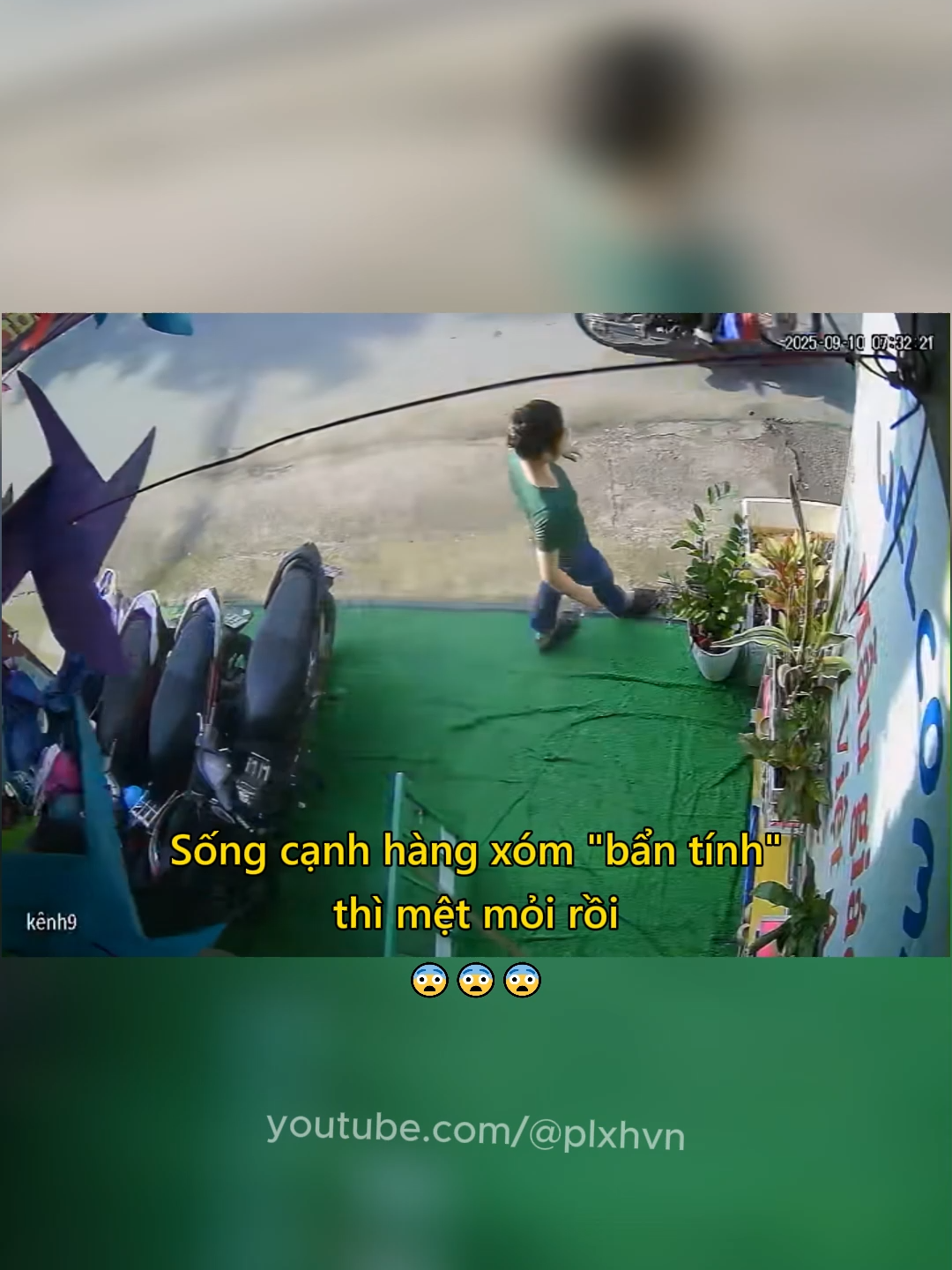 Sống cạnh hàng xóm 