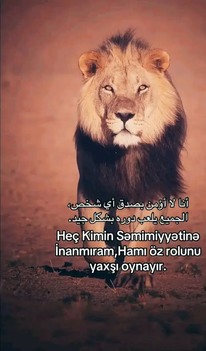 #vasmoy #vasmoy_8km #keşfet #baku #keşfetteyizzz 