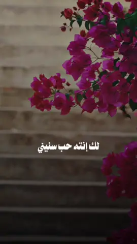 لك إنته حب سنيني❤️وكلش كبير بعيني❤️معيّشني بأحضانك ملك❤️وامدلل إمخليني❤️ #مصطفى_الربيعي #ياعاطفي_ياراقي #حب #مصطفى_الربيعي🖤 #تصميم_فيديوهات🎶🎤🎬  