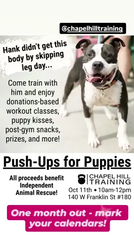 Come join the fun!  #adoptabledogsoftiktok #pushupsforpuppies #adoptdontshop #northcarolina 