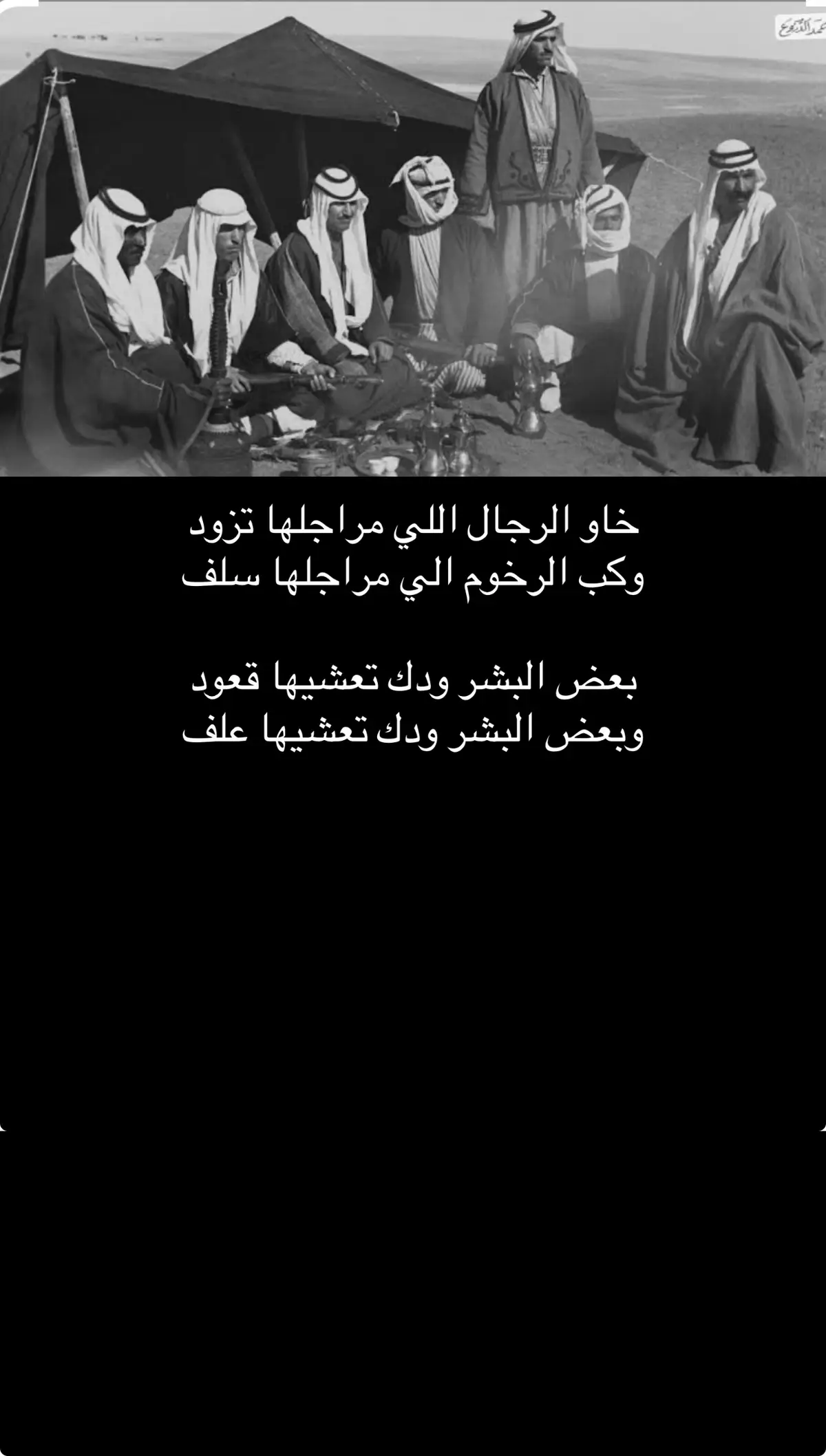 #ابيات_شعر_من_العيار_الثقيل #متابعه_ولايك_واكسبلور_فضلا_ليس_امرأ #سنابي_بالبايو🤍 #منشن_اللي_يستحق_هالكلام #الشعب_الصيني_ماله_حل😂😂 