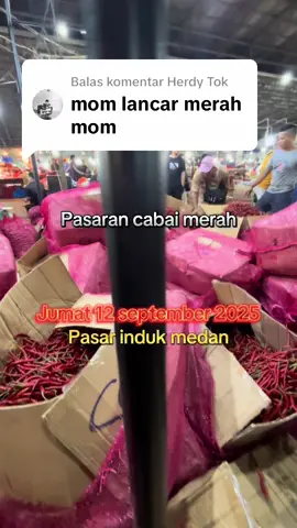 Membalas @Herdy Tok #pasarinduklaucihmedan #updatecabai_mommeikel @mommeikel_tigan 