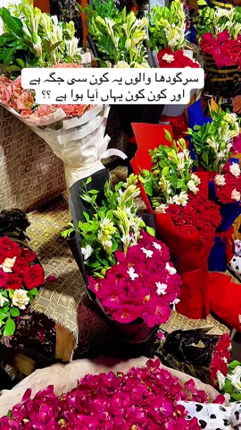 #sargodhavibes #sargodha #foyoupage #foyou #viralmyvideoplztiktok 