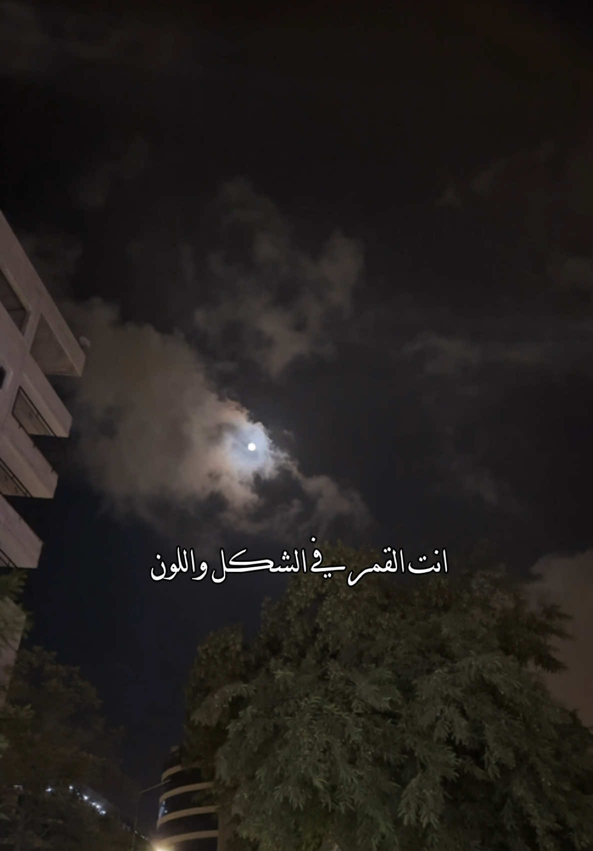 انت القمر♥️#تصاميم_صلوح🧑‍🦯 #explore #بدر_العزي 