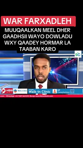 News#fyp#CupCutSomfollowing
