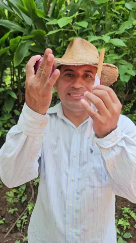 #Elcampoysusvirtudes #quistes#ovarios#miomas#viralvideotiktok.