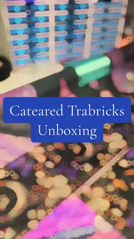 You guys omg I been waiting on this unboxing for forever. As soon as saw these trabricks trays from @cateared I knew I had to have them!!!! I’m soooo happy with them and they came with a case ahhhhh love love love them 💙 #unboxing #catearedtrays #trabricktrays #diamondpaintingtraystorage #fyp 