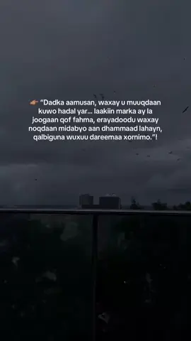 qofka aamusan laguma qiimeeyo hadalkiisa gaaban, balse waxaa laga arkaa sida uu qalbigiisa u furo marka uu helo qof fahma.!🤍