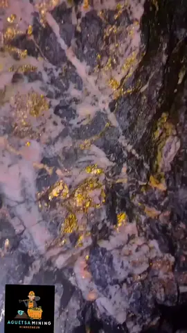 gold mining #gold #mining #miningtiktok #viral 