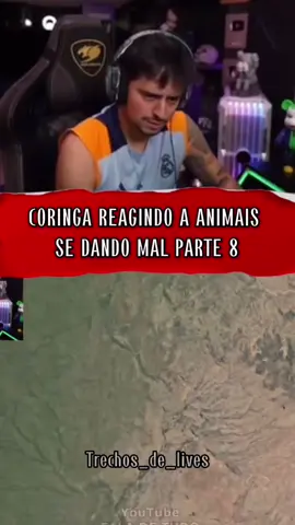 Coringa reagindo a animais se dando mal parte 8 #coringa #animais #live #react #fyp