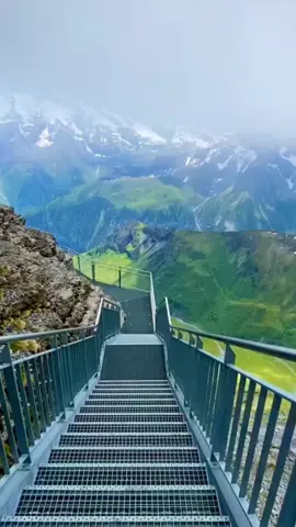 #official #viralvideos #tiktok_india #viral #fyp 