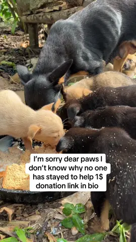pov it’s really painful hunger is our scarcity please help with any price to make a difference 
