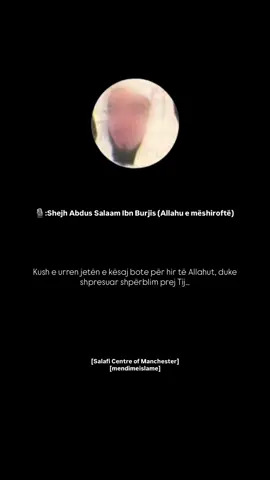 🤍 #fejaislame #salafi #fyp #ligjerataislame #islamic_video 