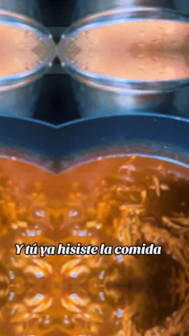 #que hisite de comer hoy#mole con arroz