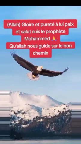 #Allah 