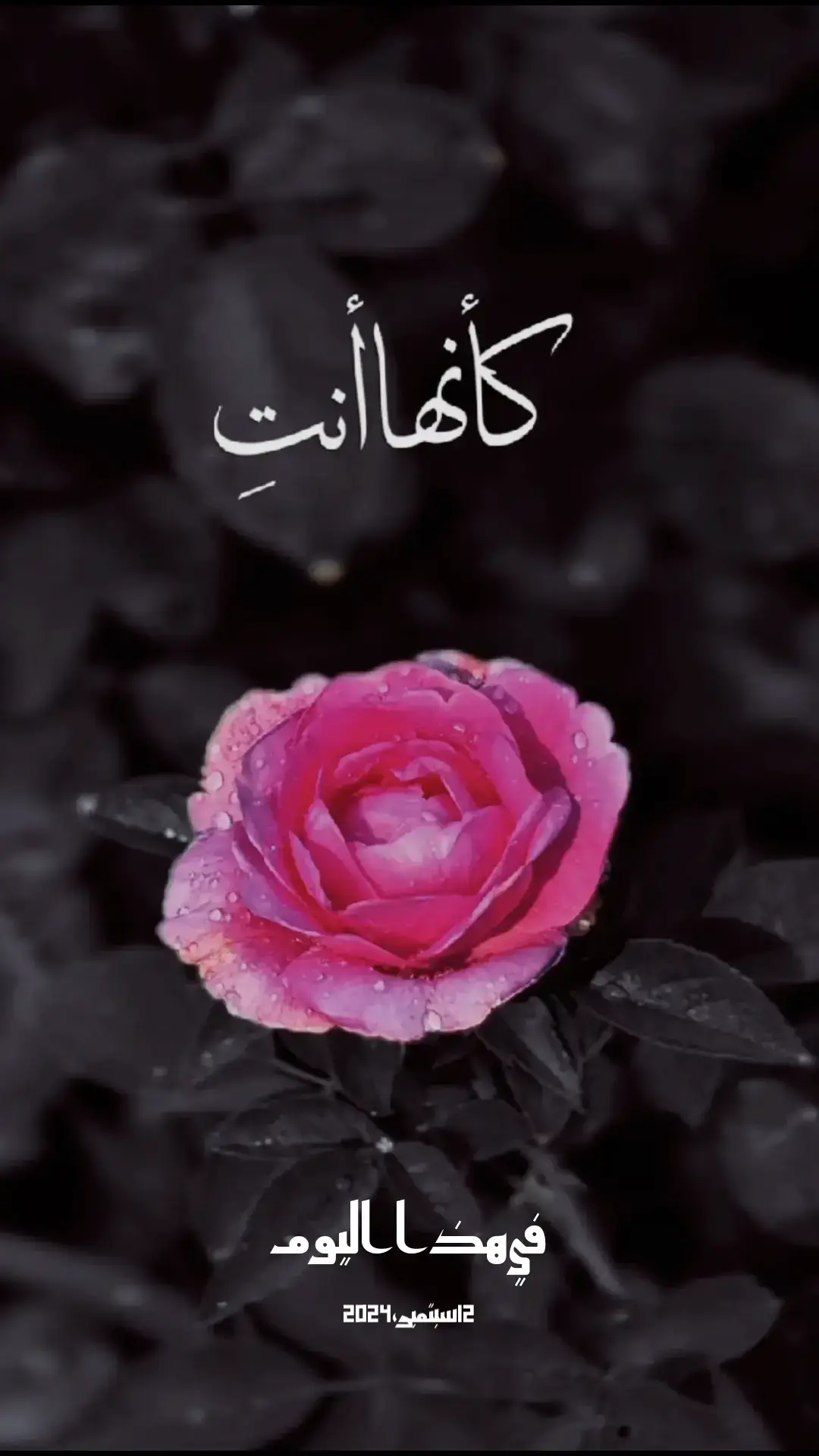#في هذا اليوم #ترندات_تي #اكسبلورexplore #السعودية 
