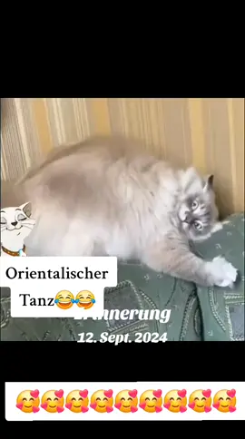 #erinnerung #fypシ 