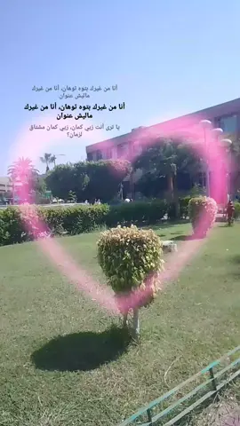 #بهاءـسلطان 