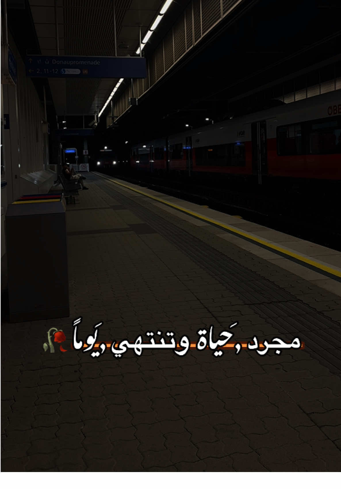 مجرد حياة وتنتهي يوماً 🥀 #تصويري📸 #ضيفوني #اكسبلور #مجرد________ذووووووق🎶🎵💞 #عبرات_من_القلب💔💔  @𝐇𝐚𝐬𝐨𝐧ツ𝟗𝟔𝟑 