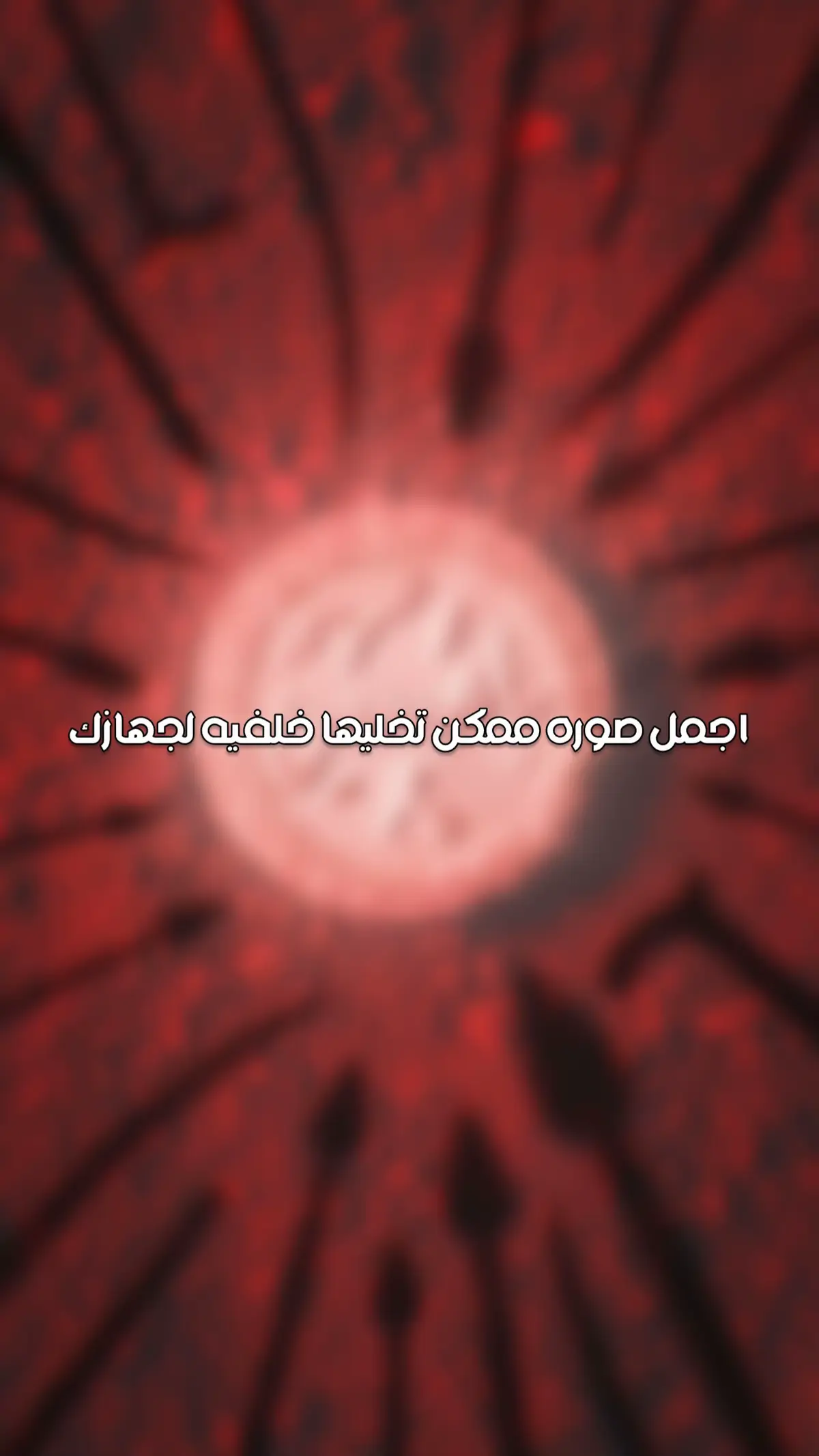 #سيد_سلام_الحسيني #كربلاء_مدينة_العشق_والعاشقين #شيعة_الامام_علي_عليه_السلام #يا_صاحب_الزمان #الامام_الحسين_عليه_سلام 