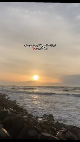 #foryou #viral #تامر_عاشور #viralvideo #دعم_غروب @Tamer Ashour 