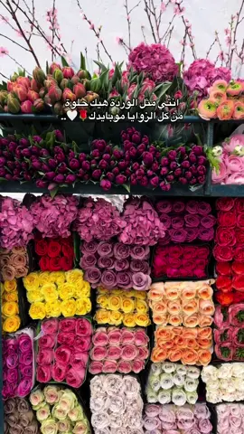 #عطوني_رايكن_بالفيديو🥺🖤🧸 #fffffffffffyyyyyyyyyyypppppppppp #لايك_متابعه_اكسبلور #ورده #fyp 