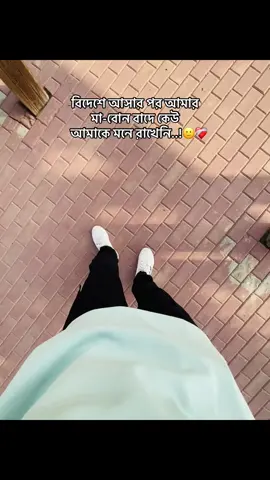 Miss you ammu🥲❤️‍🩹 #foryou #foryoupage #fypシ゚ #viralvideo #unfrezzmyaccount 